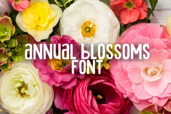 Annual Blossom: A Font That Grows With Your Design Needs