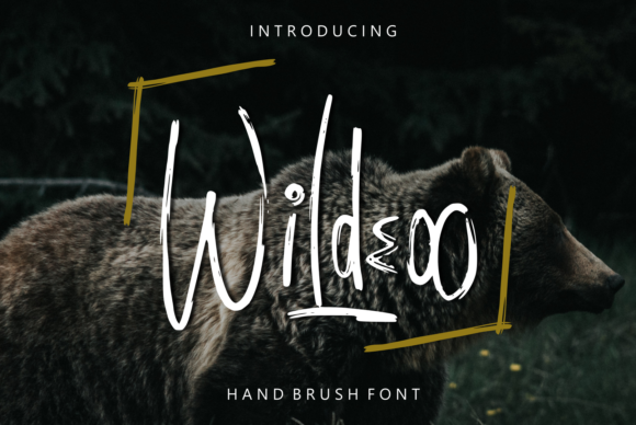 Discover the Beauty of Wildeoo: A Unique Display Font for Creative Projects